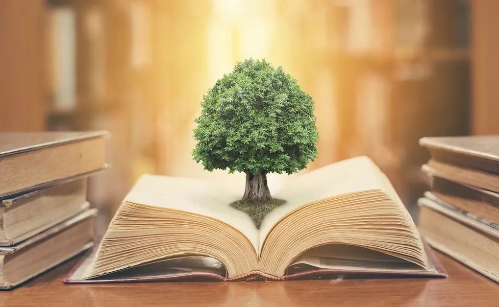 Δίκαιο Περιβάλλοντος